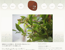 Tablet Screenshot of hanahanahanako.com